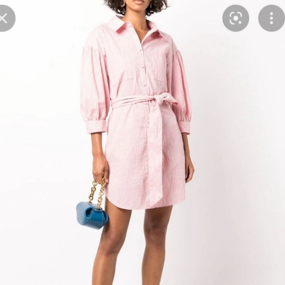 Cinq A Sept Sofia Stripe Stacey Button Down Waist Belt Dress Size 6